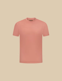 Salmon T-shirt